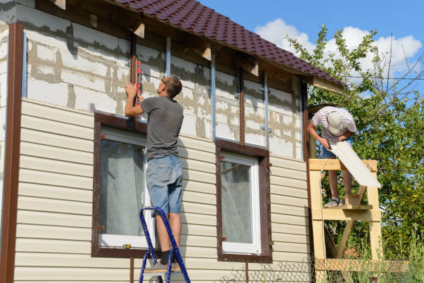 Best Custom Siding Design  in Hallstead, PA